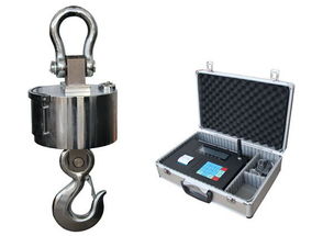 ocs 1噸電子吊秤,1t電子掛鉤稱廠家批發